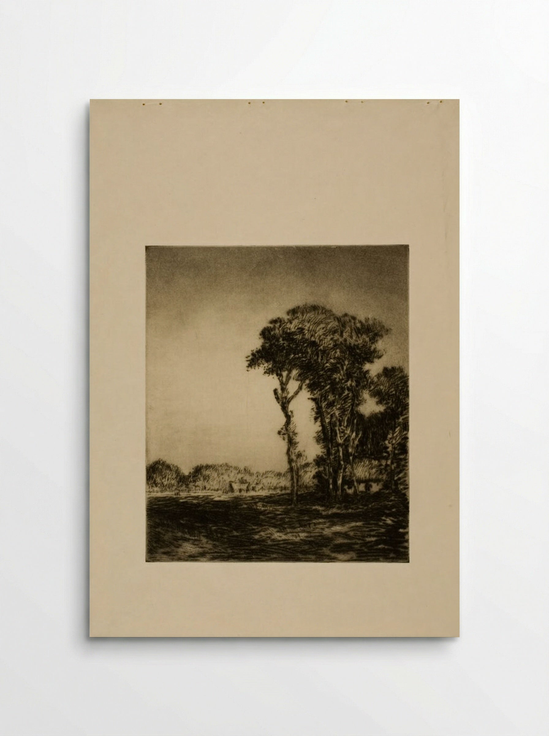 Trees and Field - Alexander Shilling - Poster