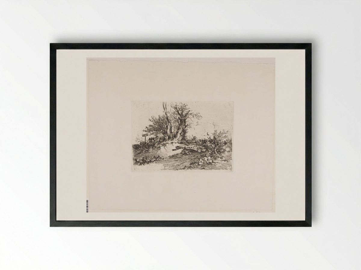 Trees on a Bank - John Crome - Framed Print Black