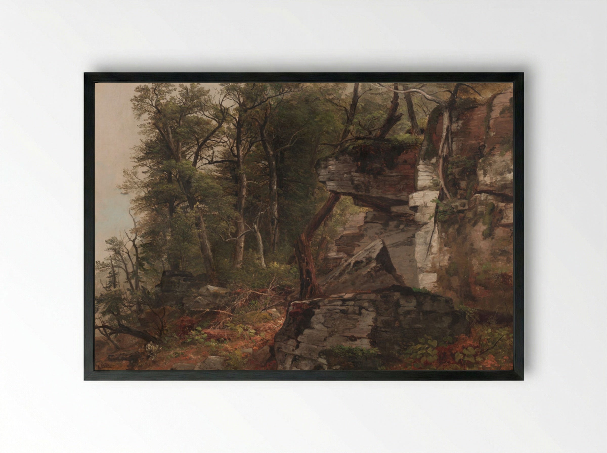 Trees on a Rocky Hillside - Asher B. Durand - Framed Print Black