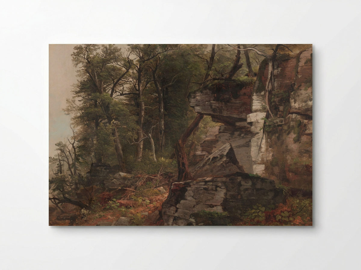 Trees on a Rocky Hillside - Asher B. Durand - Poster