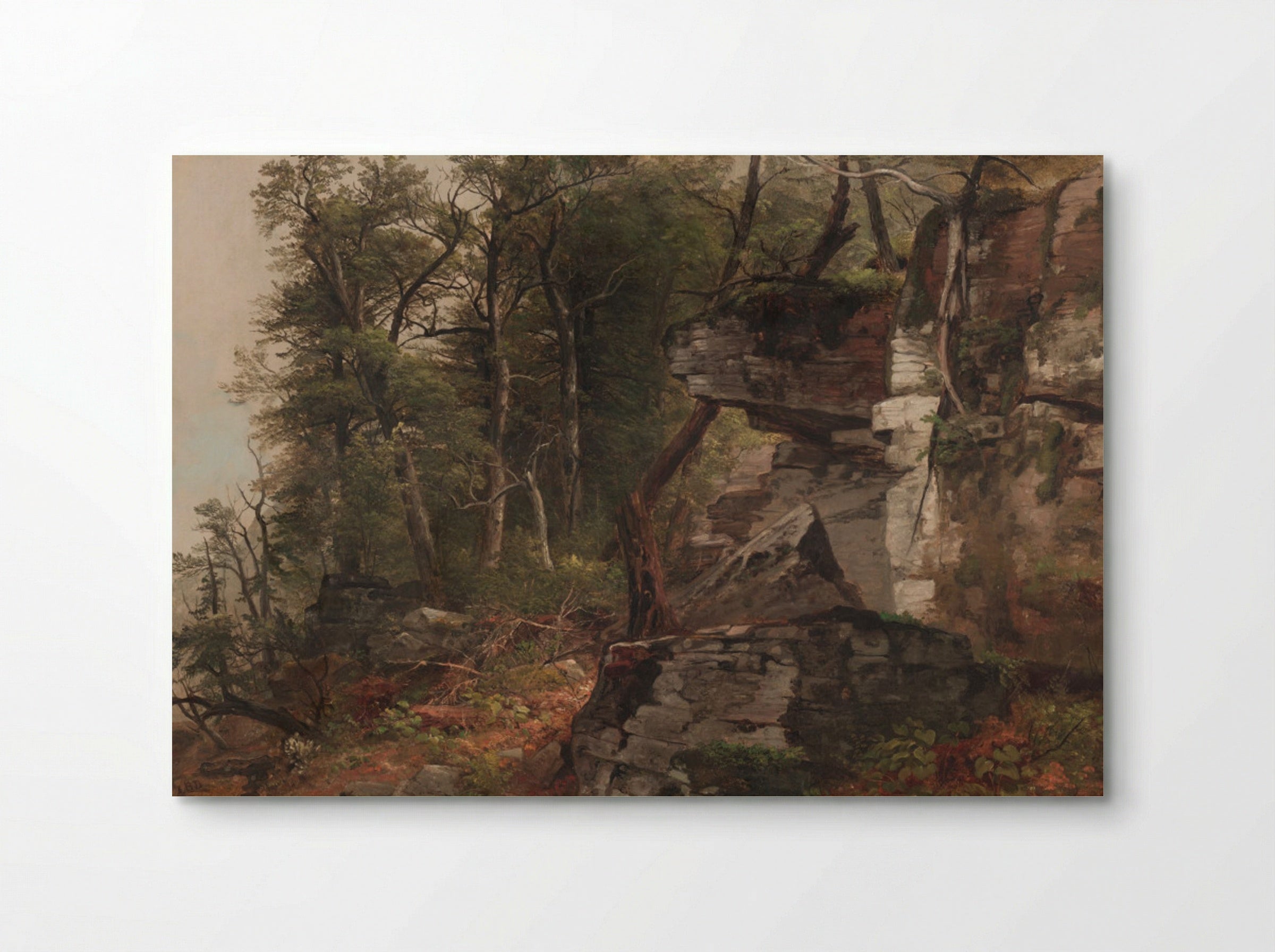 Trees on a Rocky Hillside - Asher B. Durand - Poster