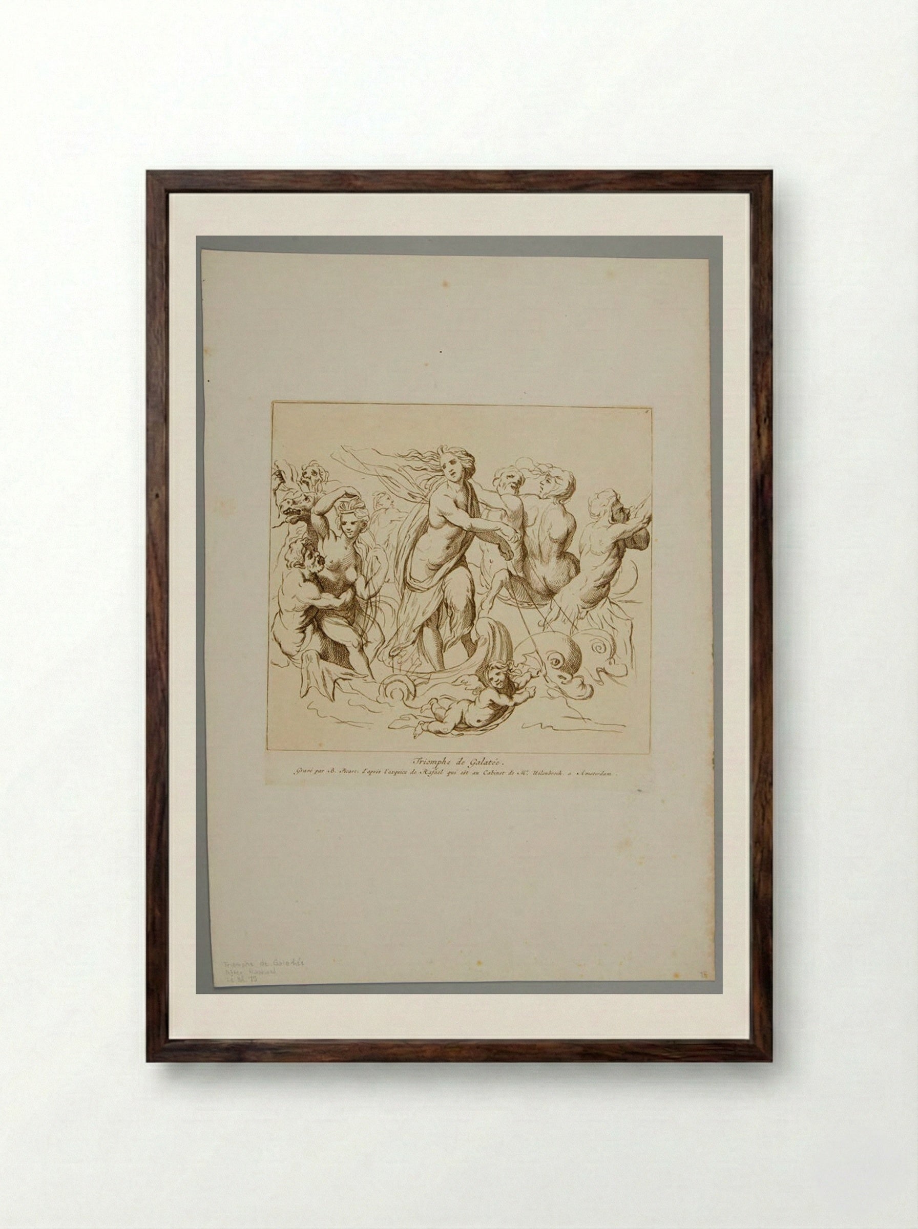 Triumph of Galatea - Bernard Picart - Framed Print Dark Wood