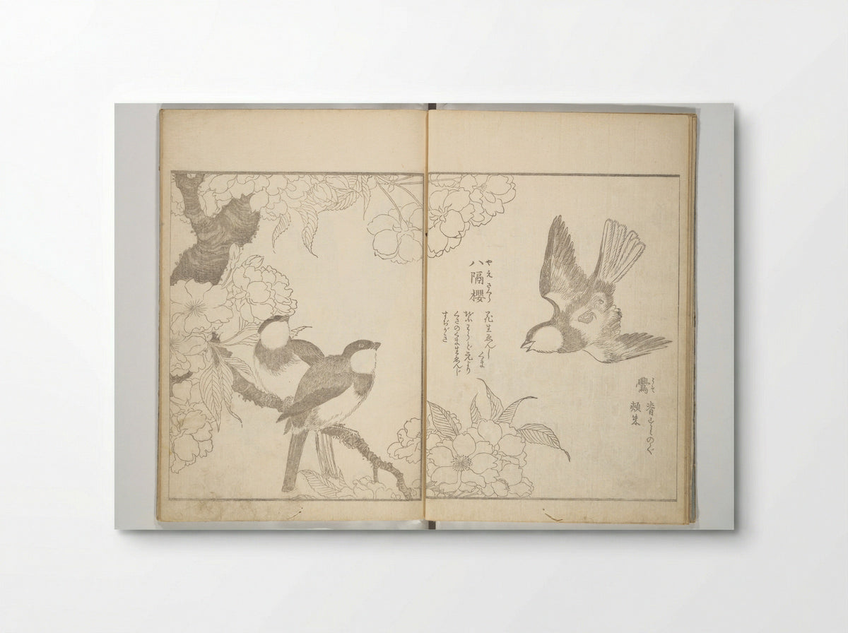 True Depictions of Bird and Flower Pictures - Kitao Shigemasa - Poster