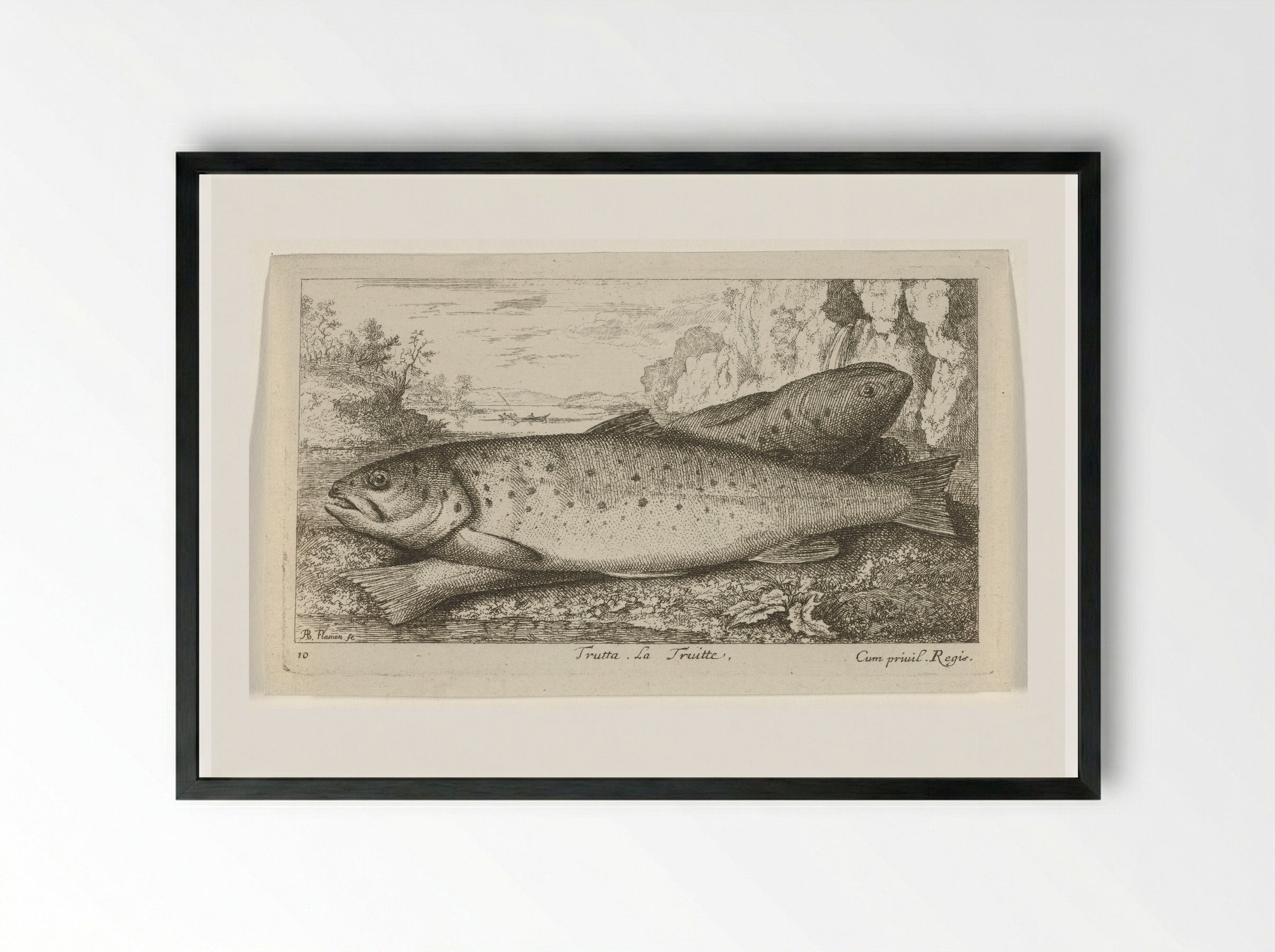 Trutta. La Truitte - Albert Flamen - Framed Print Black