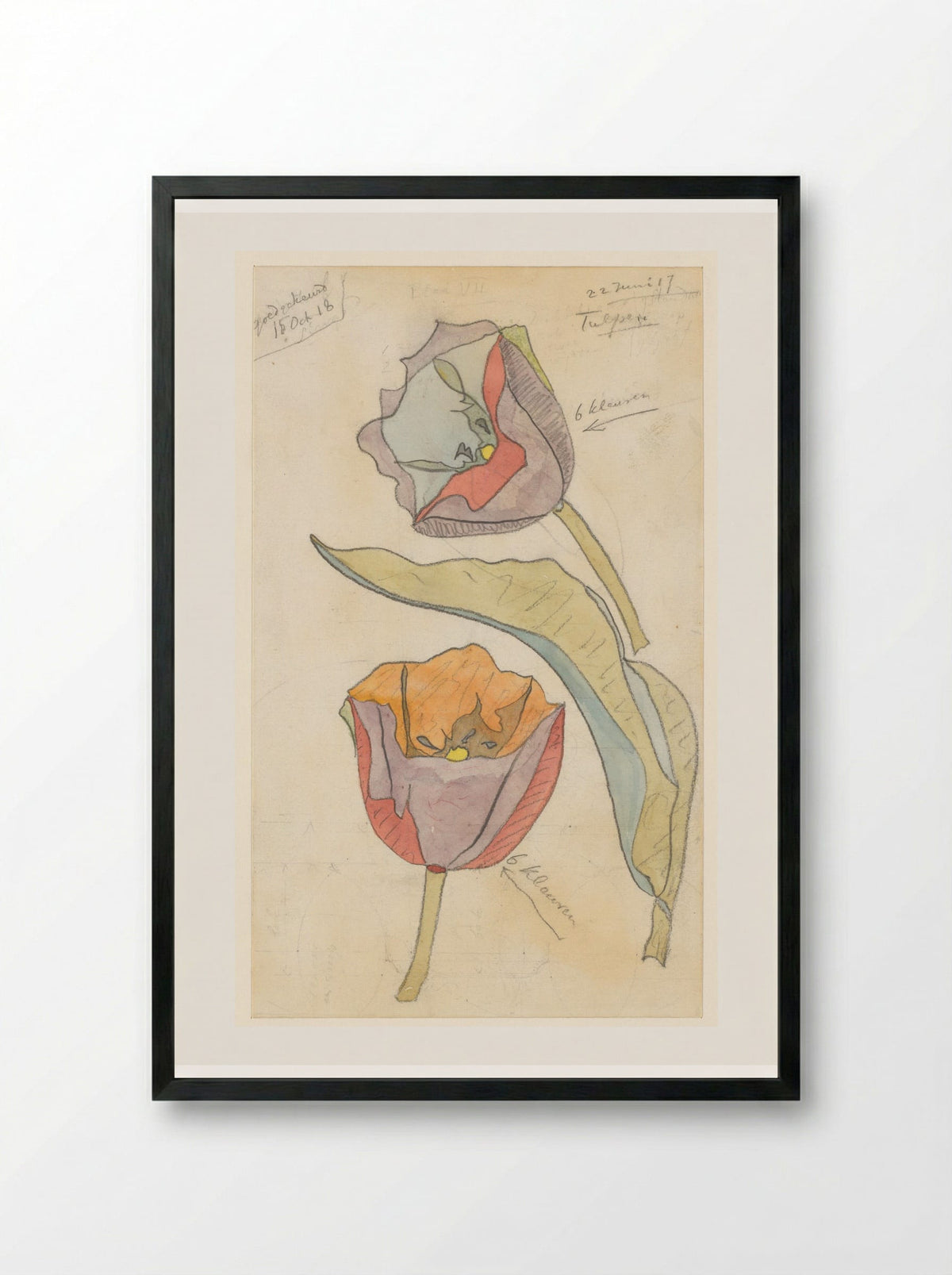 Tulpen - Theo Colenbrander - Framed Print Black