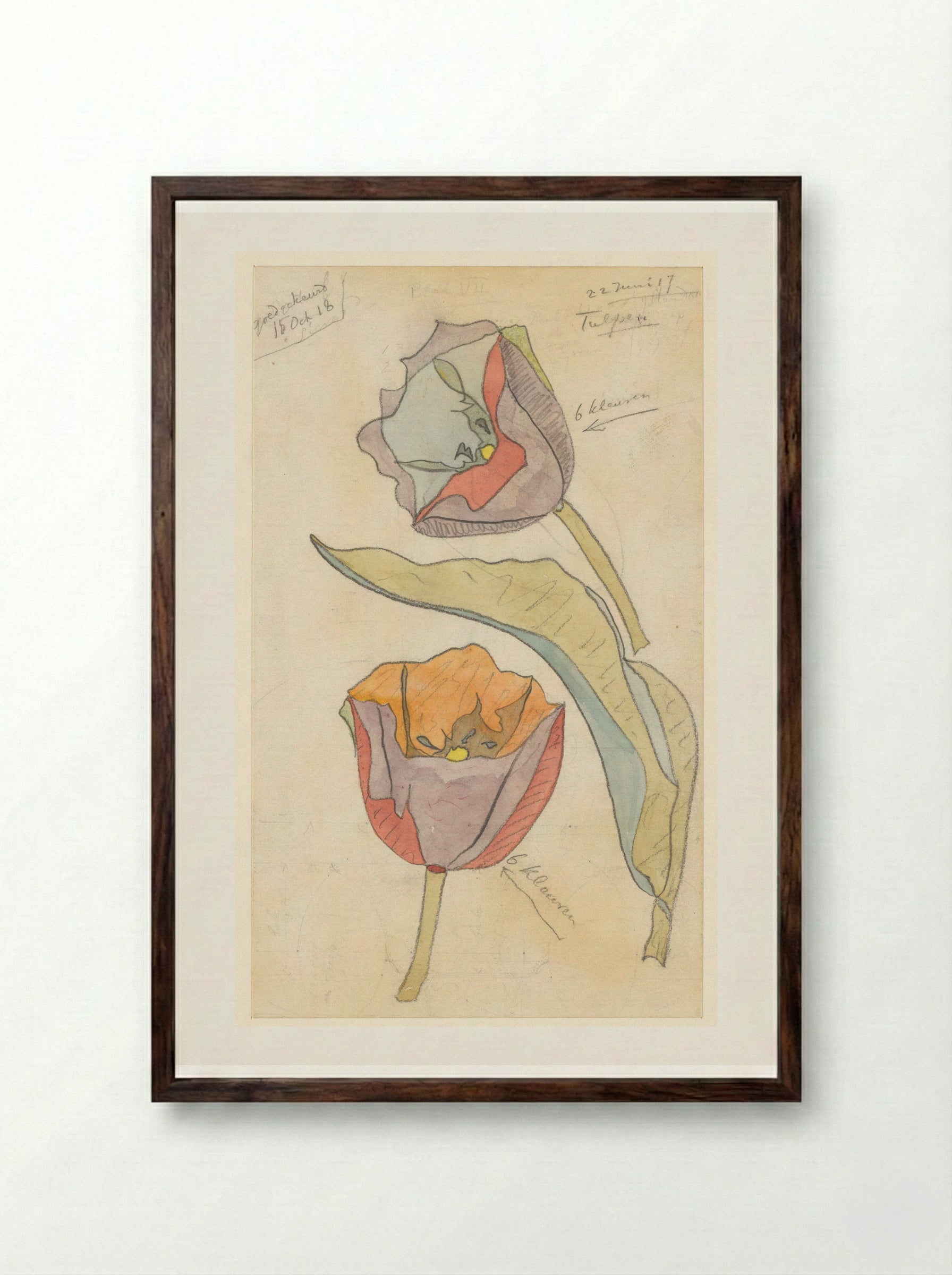 Tulpen - Theo Colenbrander - Framed Print Dark Wood