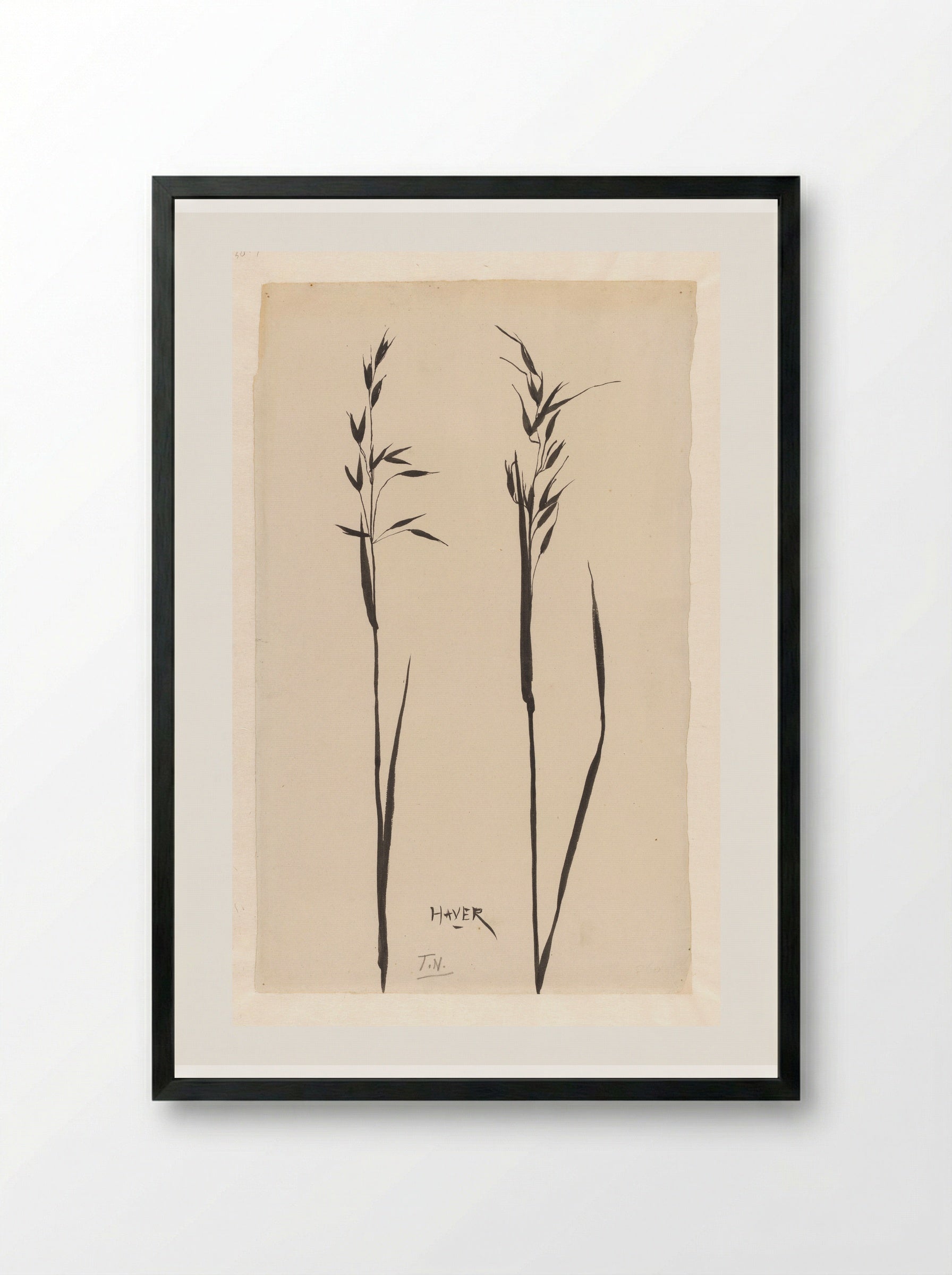 Twee aren haver - Theo Nieuwenhuis - Framed Print Black