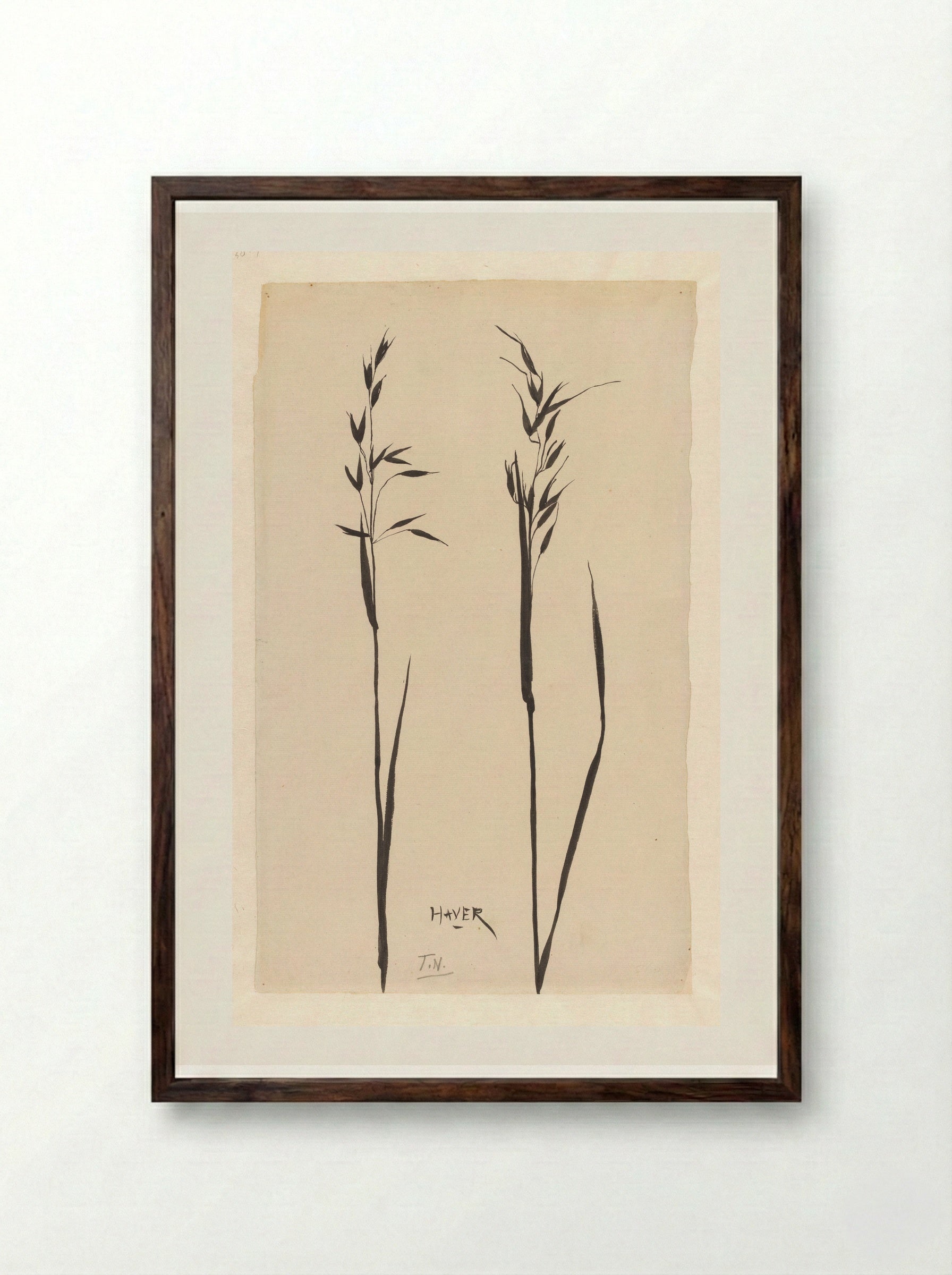 Twee aren haver - Theo Nieuwenhuis - Framed Print Dark Wood