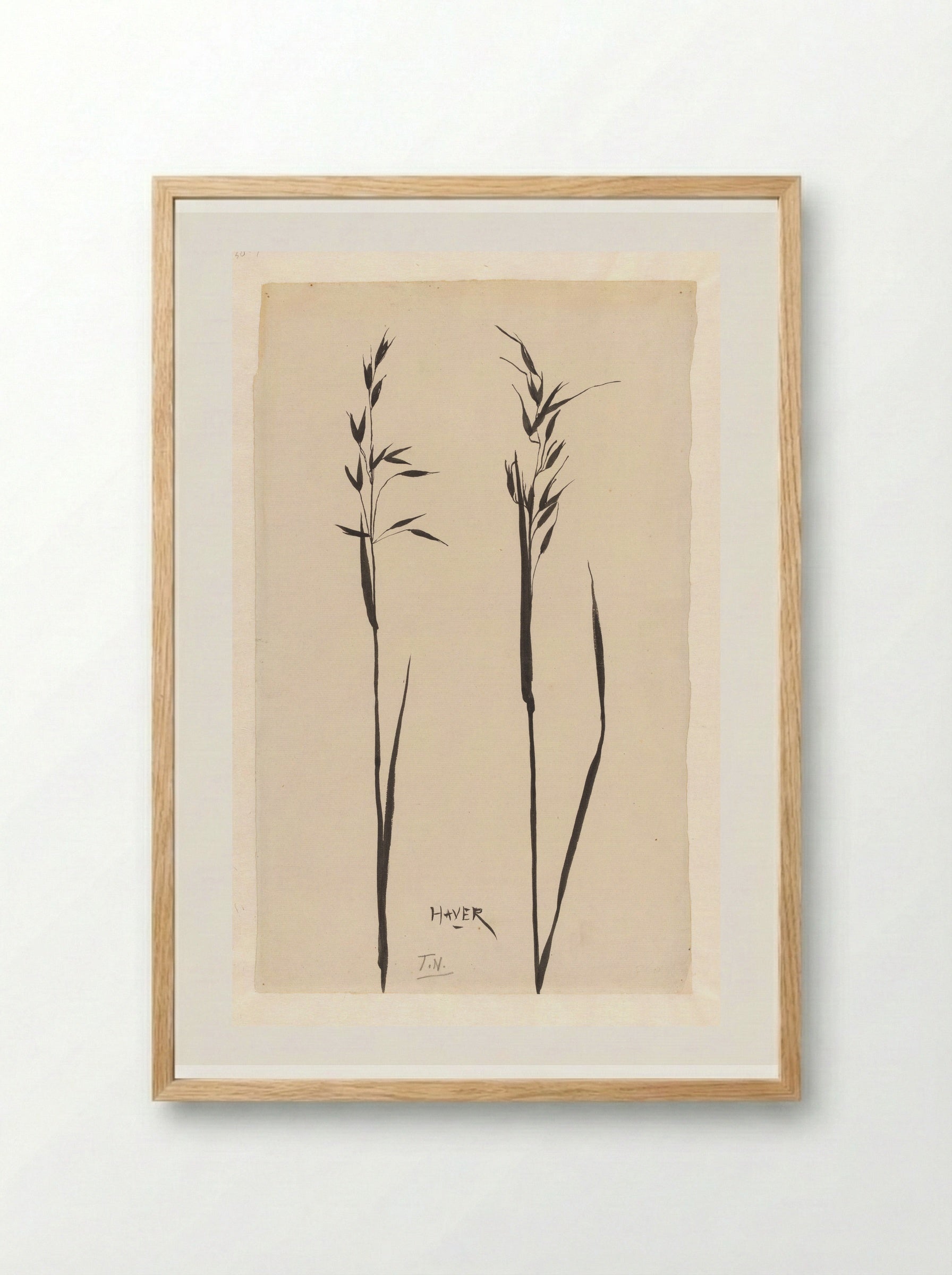 Twee aren haver - Theo Nieuwenhuis - Framed Print Wood