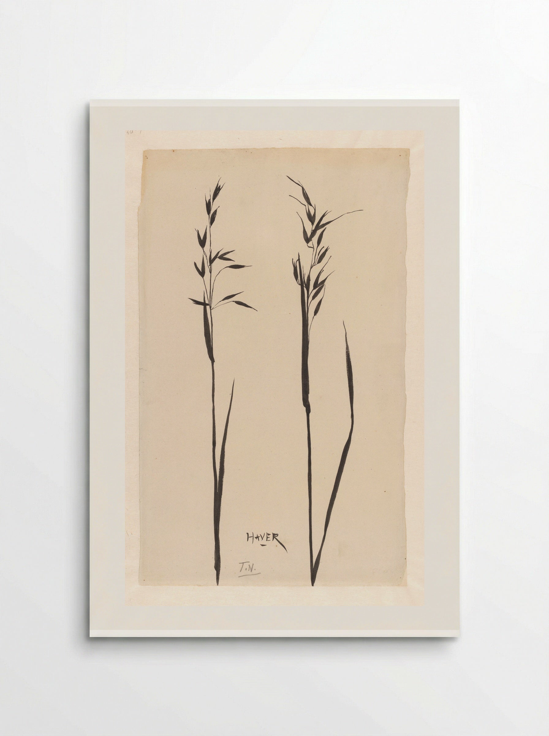 Twee aren haver - Theo Nieuwenhuis - Poster