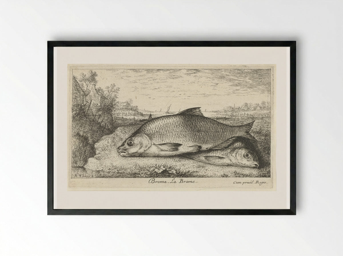 Twee brasems op een rivieroever - Albert Flamen - Framed Print Black