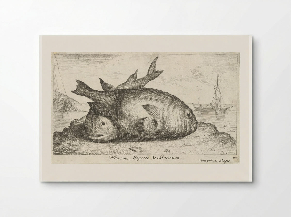 Twee bruinvissen op het strand - Albert Flamen - Poster