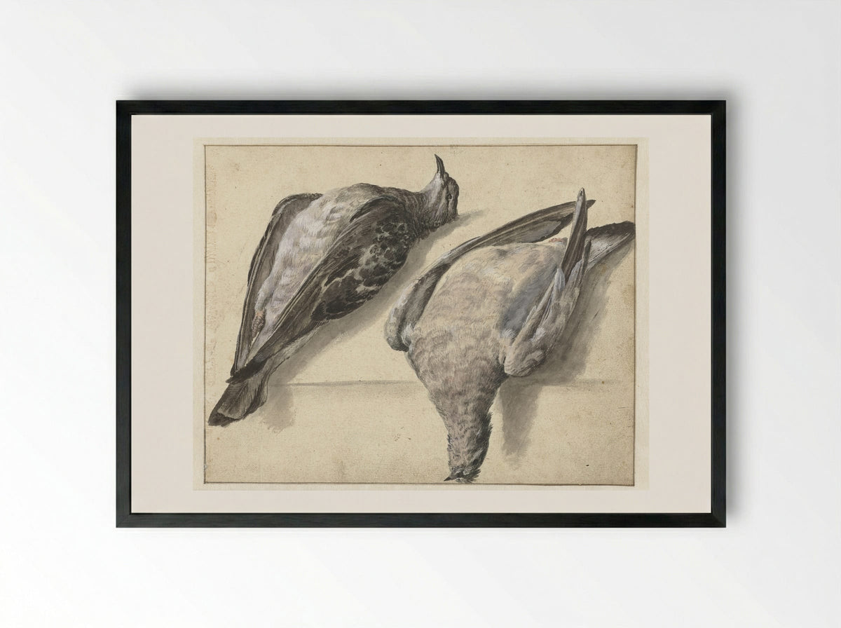 Twee dode duiven - Rochus van Veen - Framed Print Black