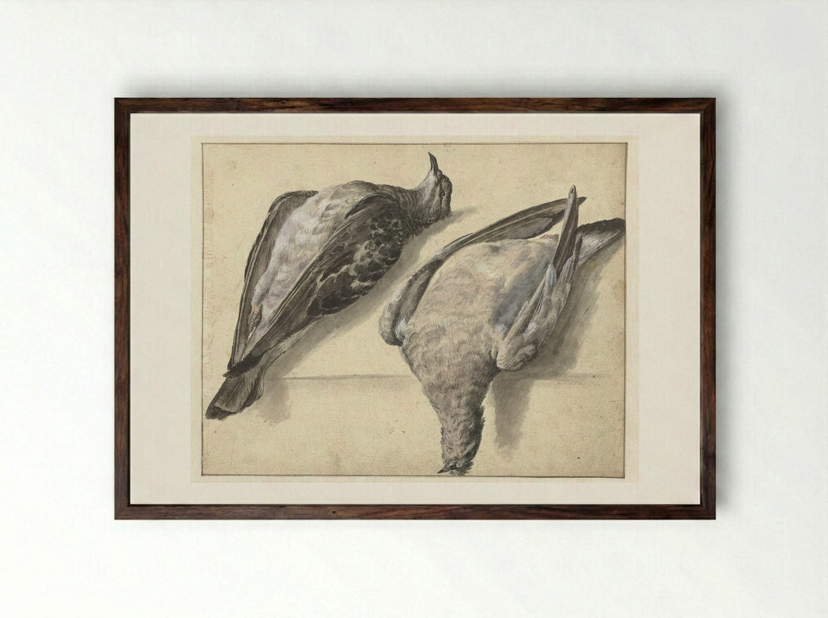 Twee dode duiven - Rochus van Veen - Framed Print Dark Wood