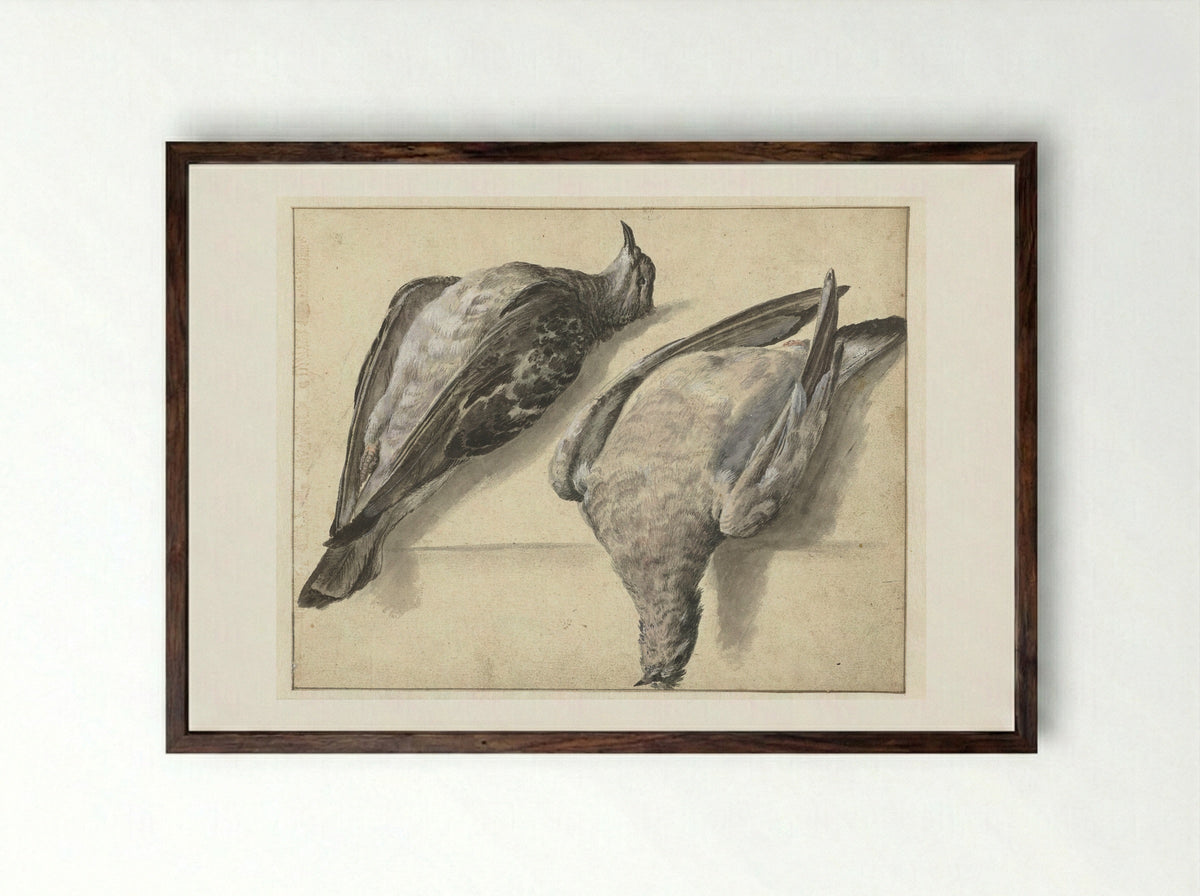 Twee dode duiven - Rochus van Veen - Framed Print Dark Wood