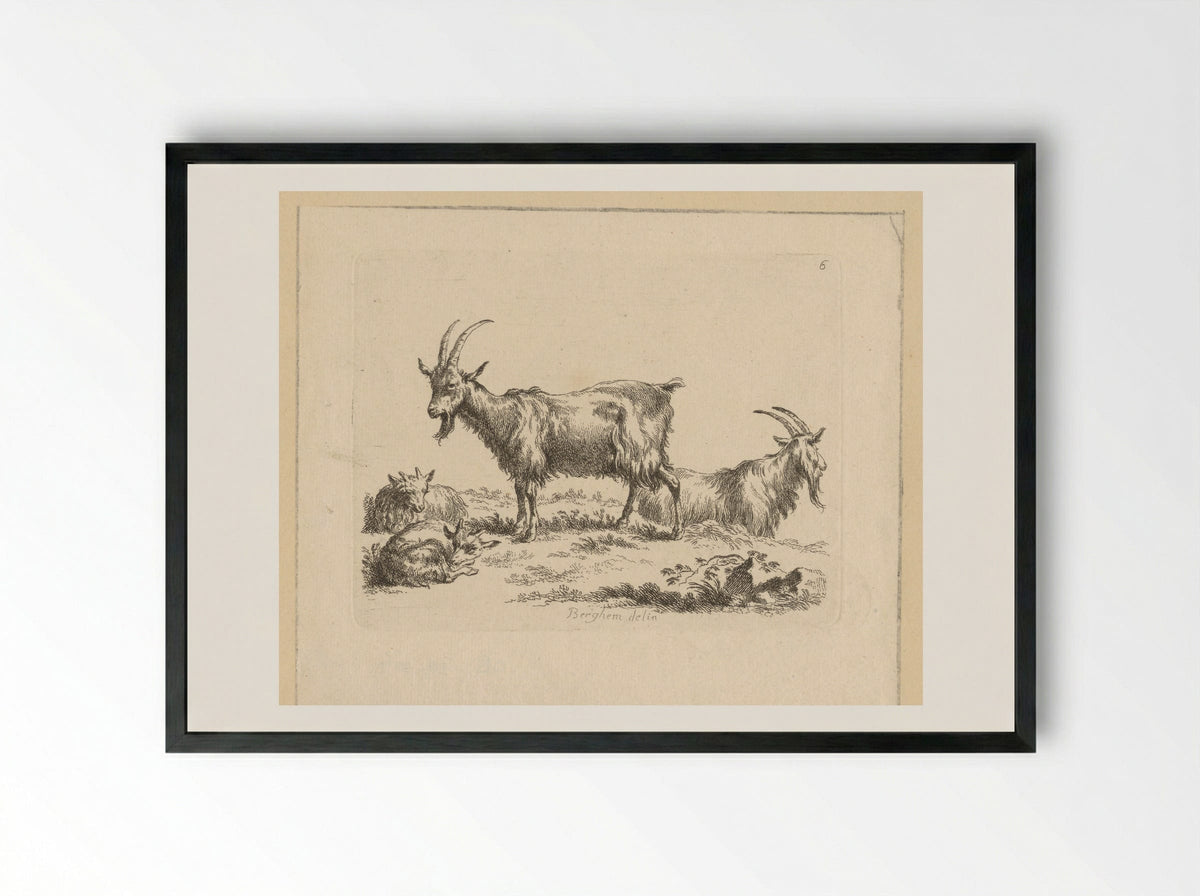 Twee geiten en twee lammeren - François Vivares - Framed Print Black