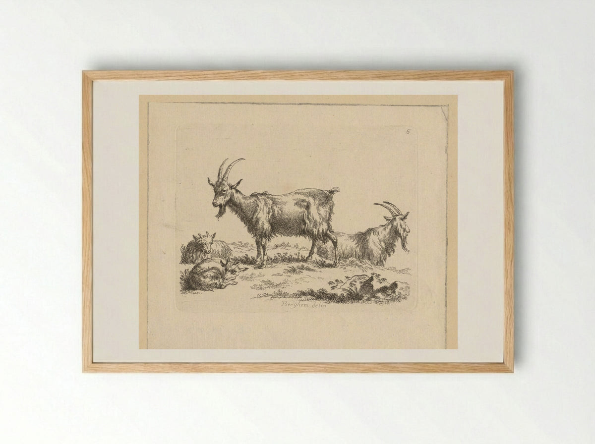 Twee geiten en twee lammeren - François Vivares - Framed Print Wood