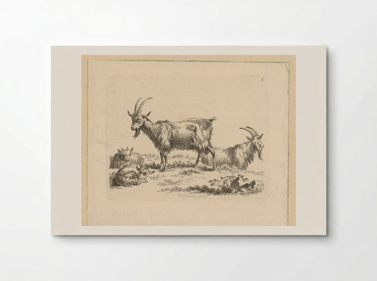 Twee geiten en twee lammeren - François Vivares - Poster