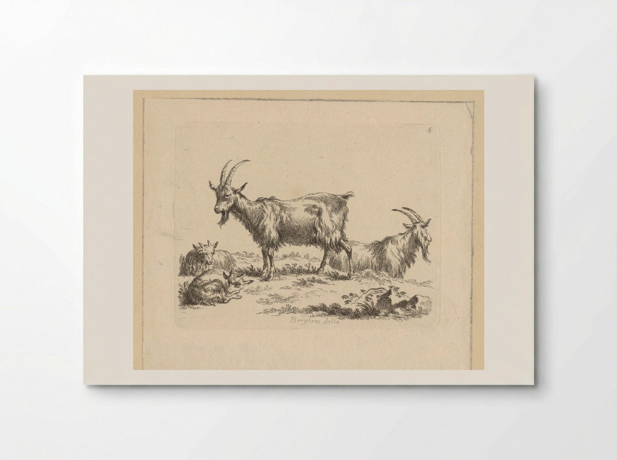 Twee geiten en twee lammeren - François Vivares - Poster