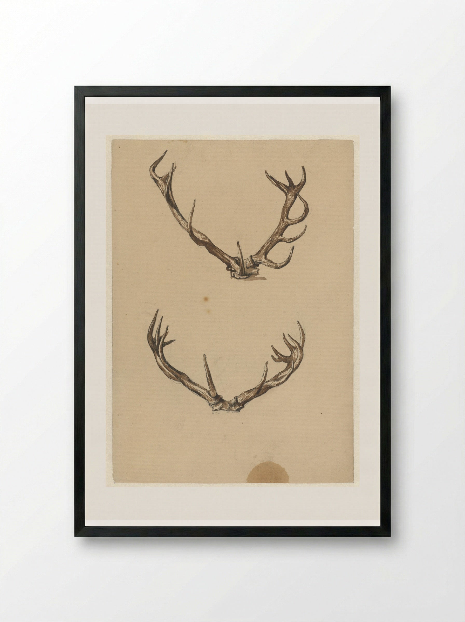 Twee geweien (Two Antlers) - Guillaume Anne van der Brugghen - Framed Print Black