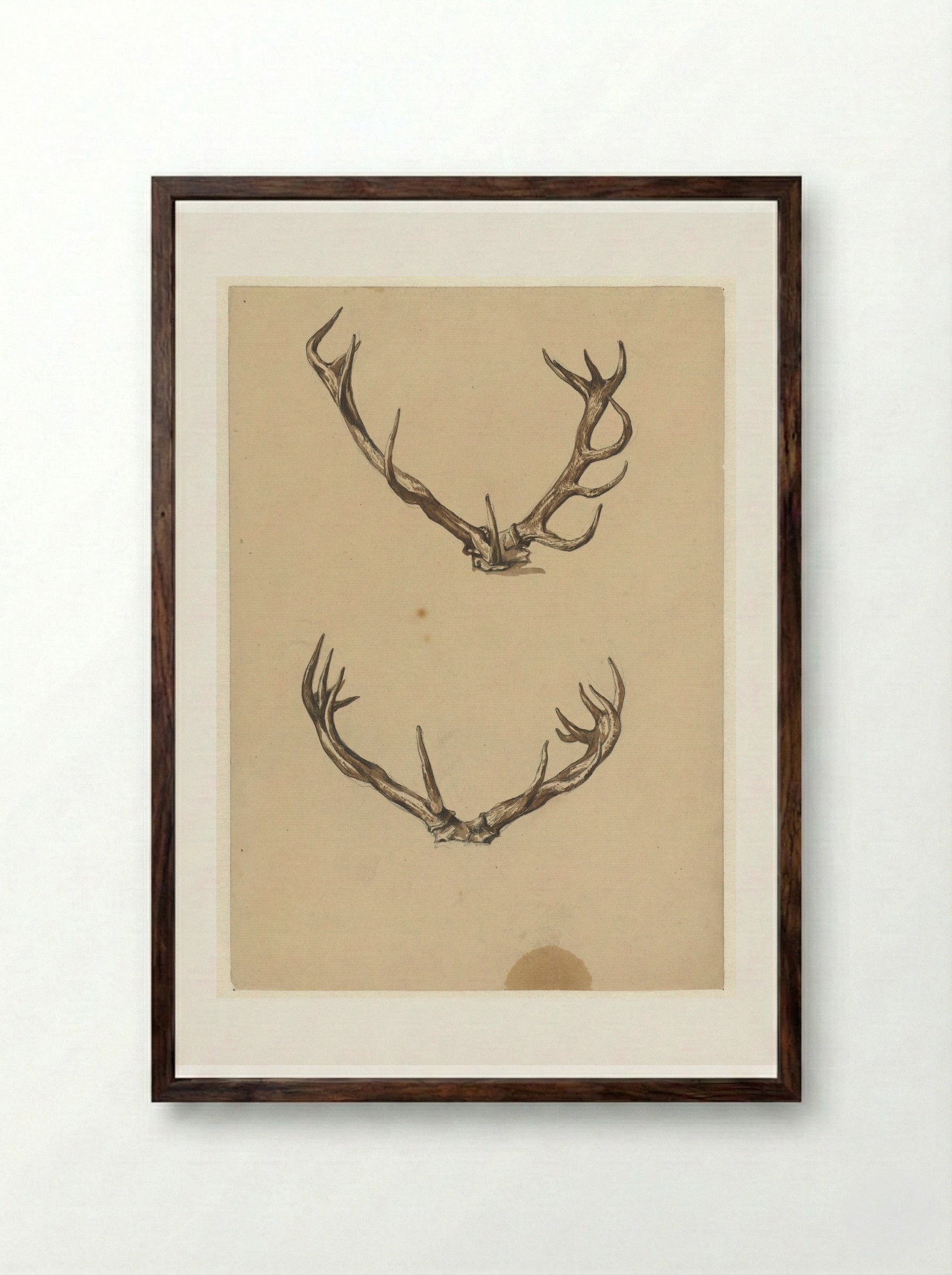 Twee geweien (Two Antlers) - Guillaume Anne van der Brugghen - Framed Print Dark Wood