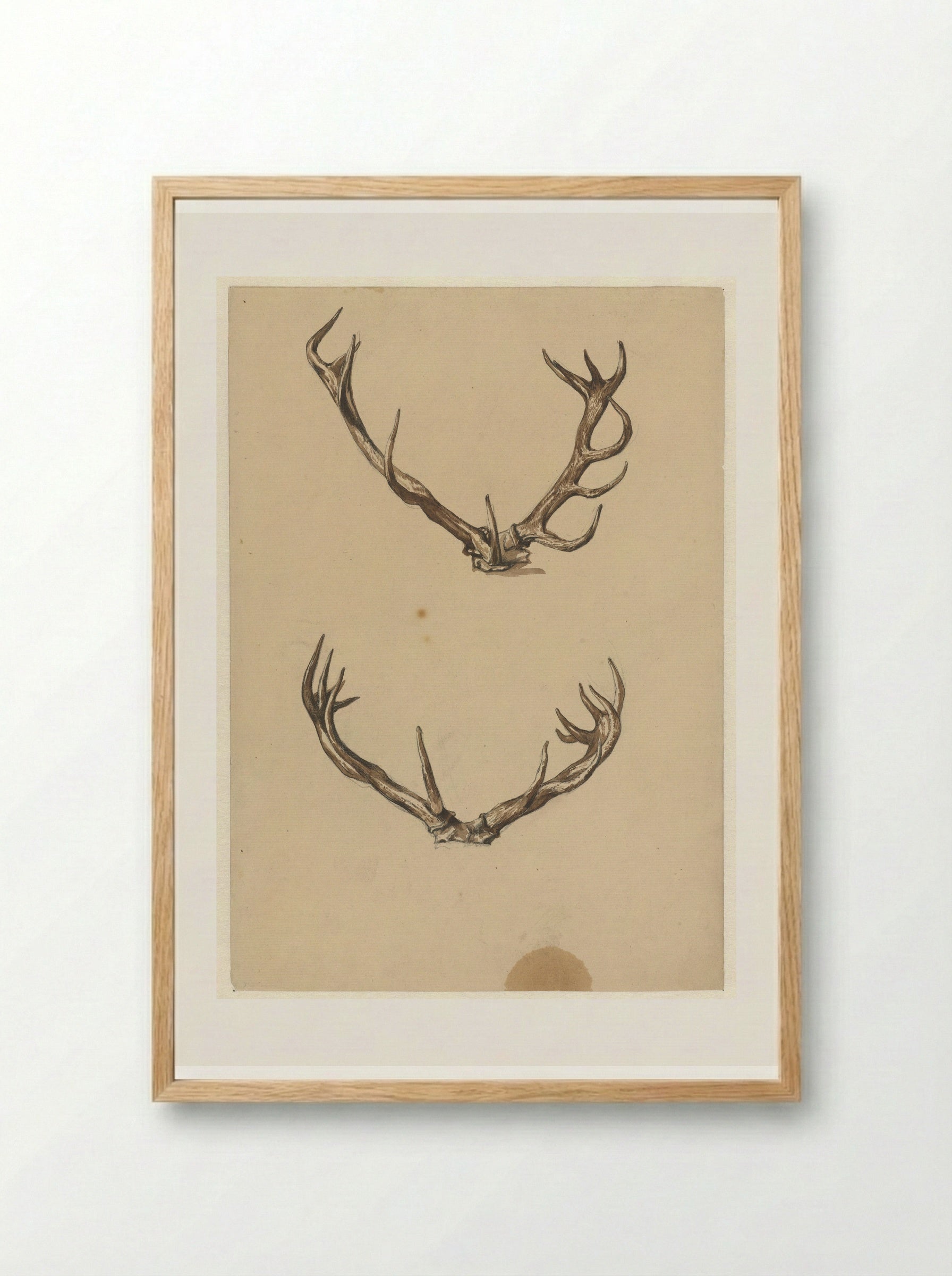 Twee geweien (Two Antlers) - Guillaume Anne van der Brugghen - Framed Print Wood