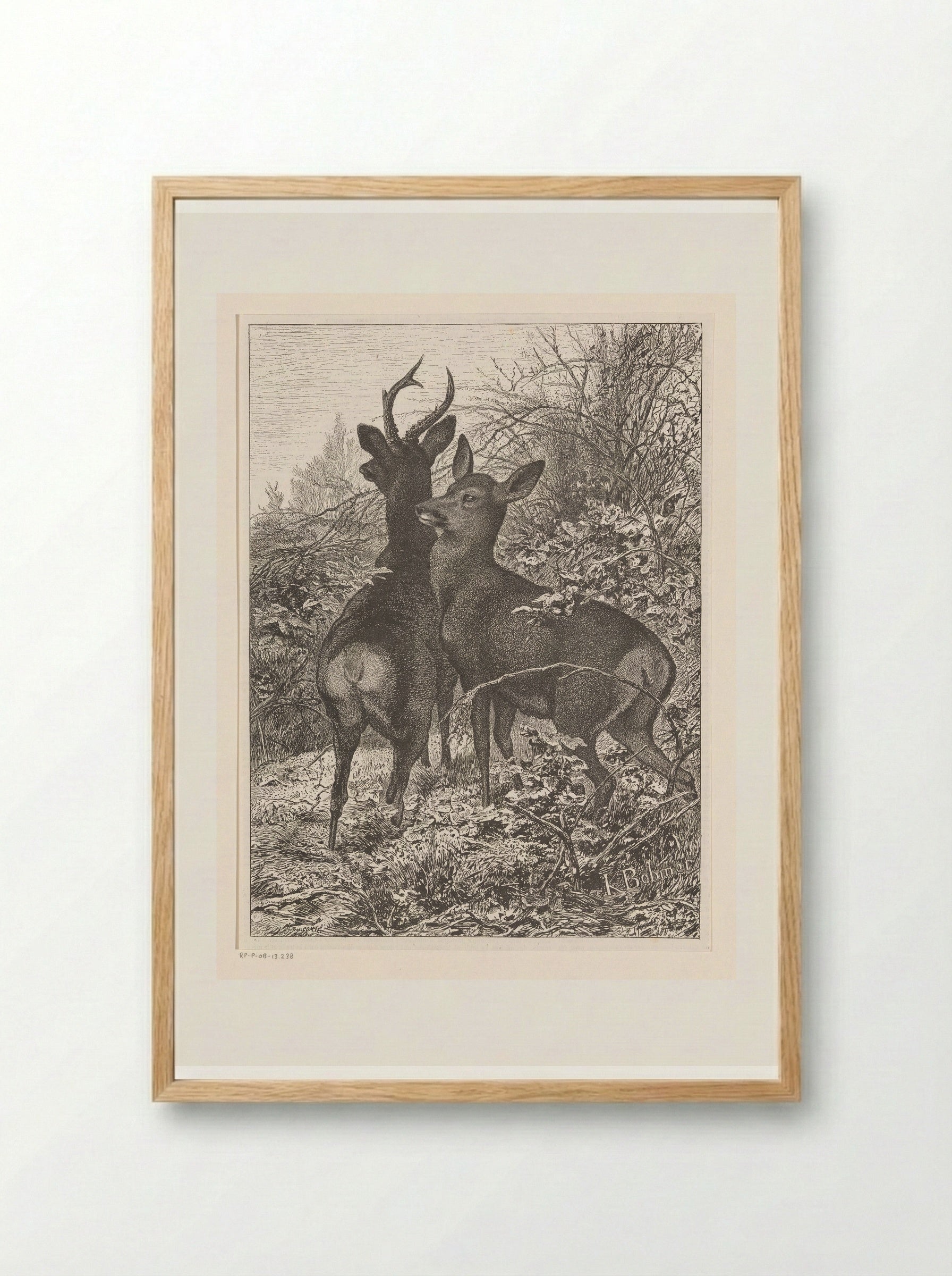 Twee herten (Two Deer) - Karl Bodmer - Framed Print Wood