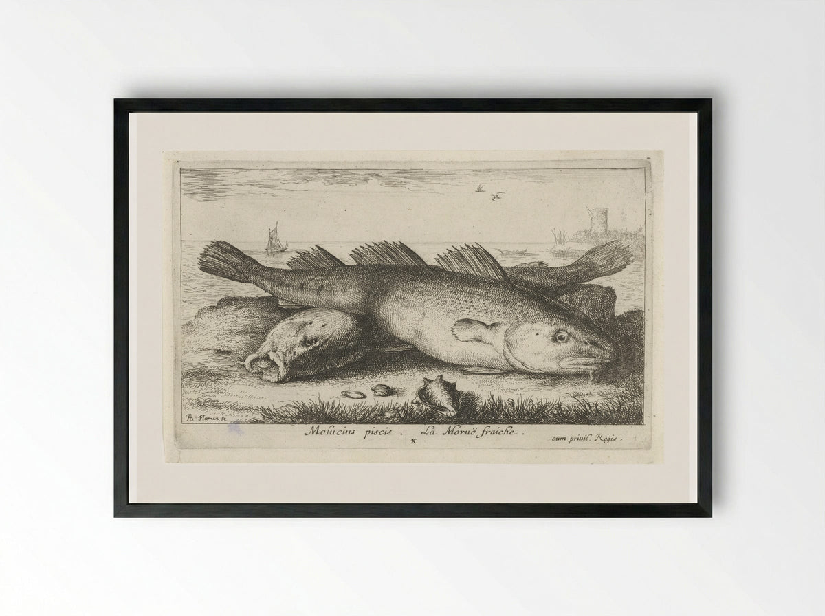 Twee kabeljouwen op het strand - Jacques van Merlen - Framed Print Black