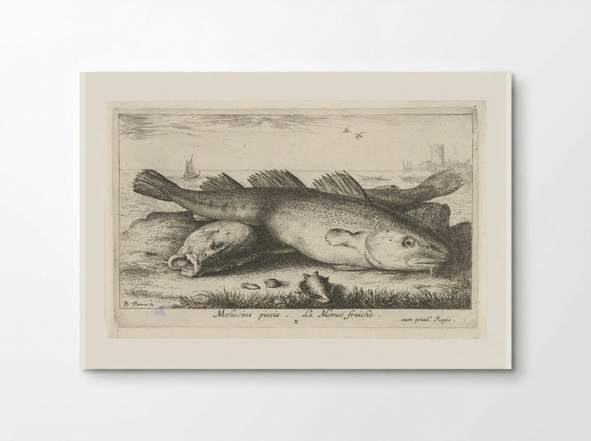Twee kabeljouwen op het strand - Jacques van Merlen - Poster