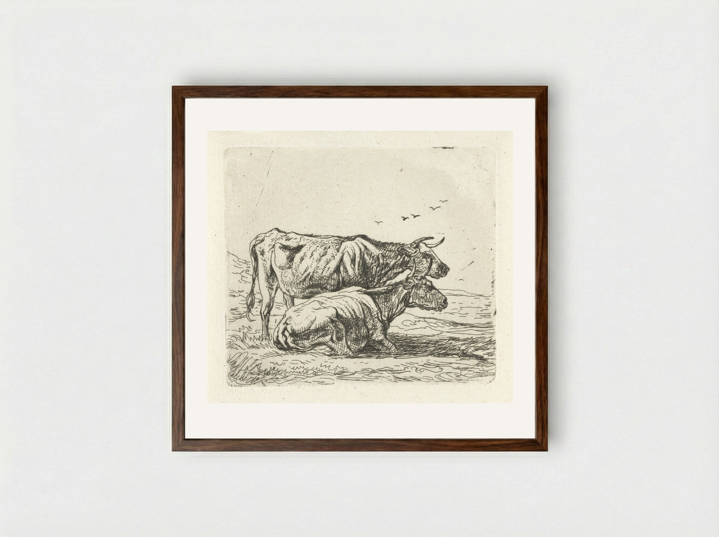 Twee koeien (Two Cows) - Aelbert Cuyp - Framed Print Dark Wood