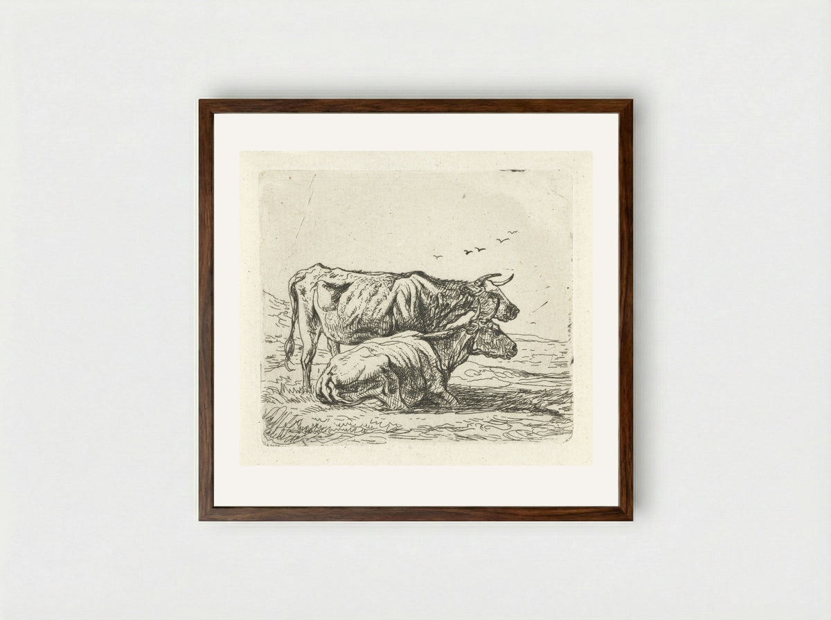 Twee koeien (Two Cows) - Aelbert Cuyp - Framed Print Dark Wood