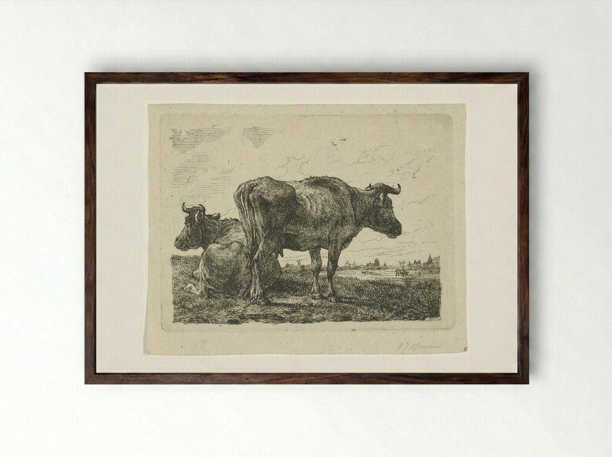 Twee koeien (Two Cows) - Anthony Jacobus Offermans - Framed Print Dark Wood