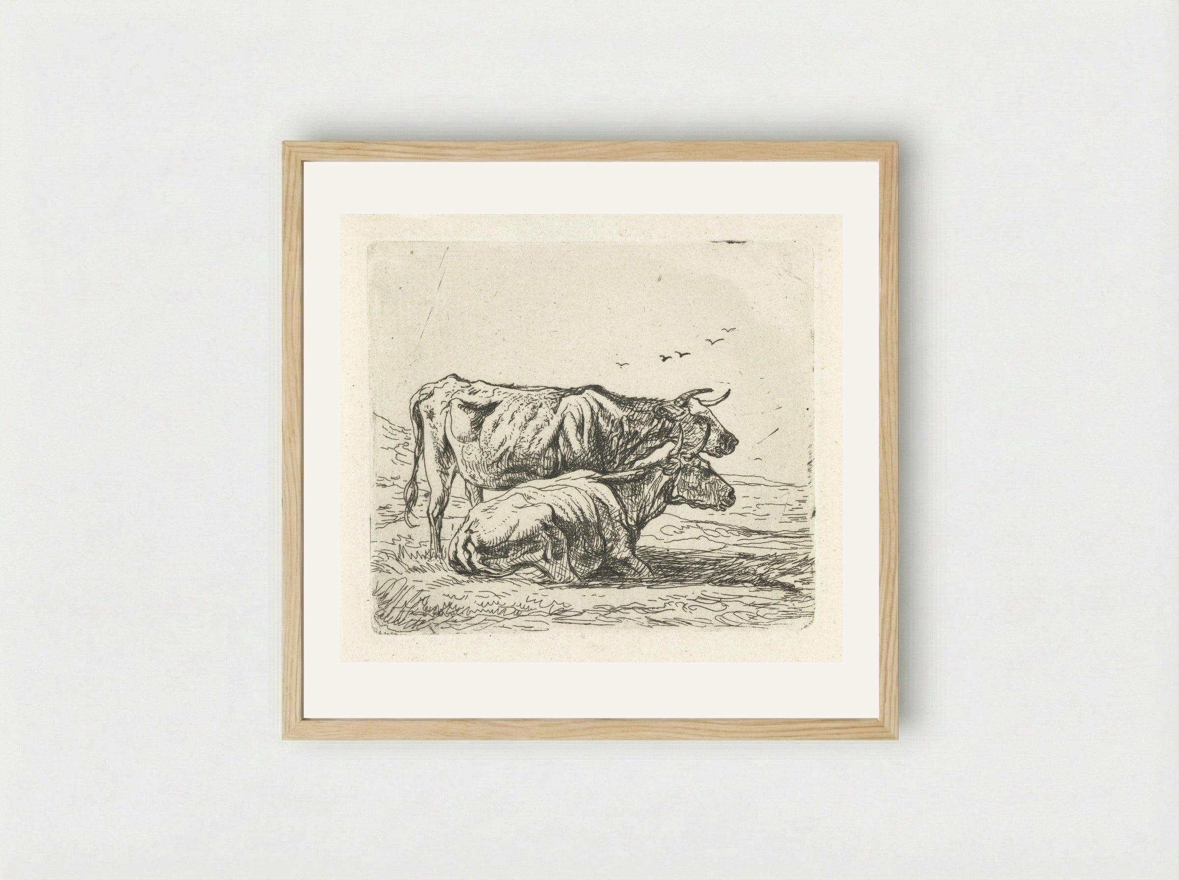 Twee koeien (Two Cows) - Aelbert Cuyp - Framed Print Wood