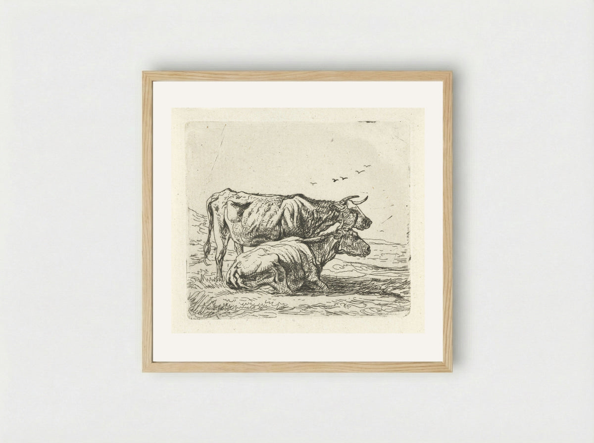 Twee koeien (Two Cows) - Aelbert Cuyp - Framed Print Wood