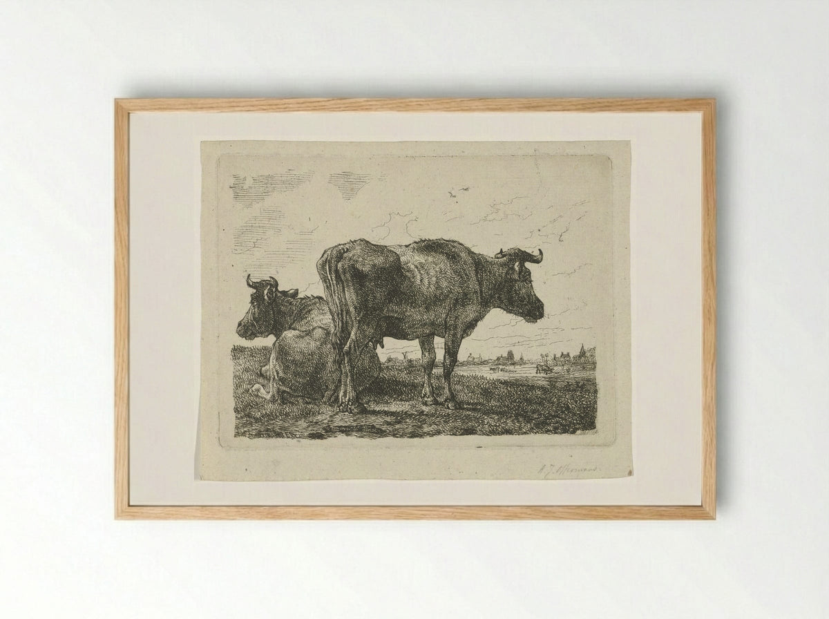Twee koeien (Two Cows) - Anthony Jacobus Offermans - Framed Print Wood