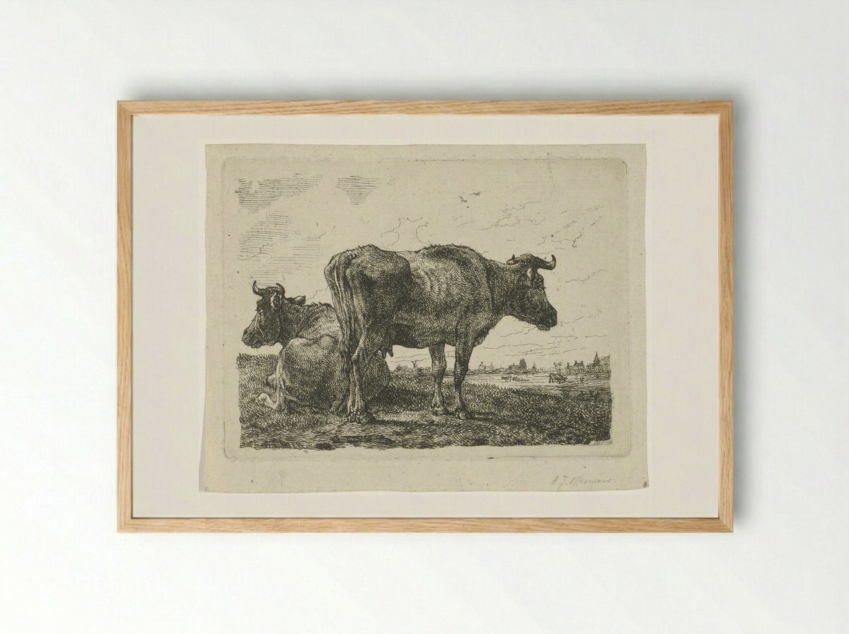 Twee koeien (Two Cows) - Anthony Jacobus Offermans - Framed Print Wood