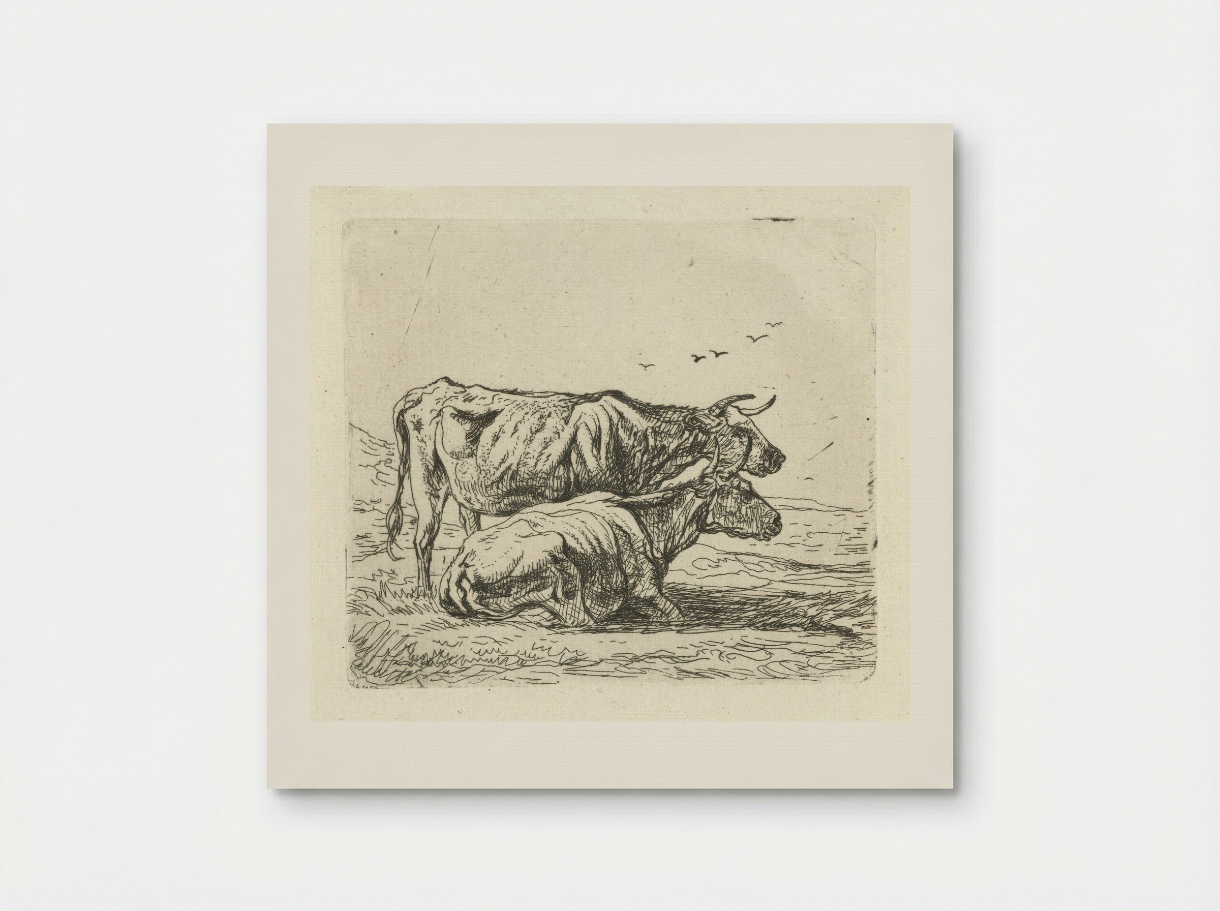 Twee koeien (Two Cows) - Aelbert Cuyp - Poster