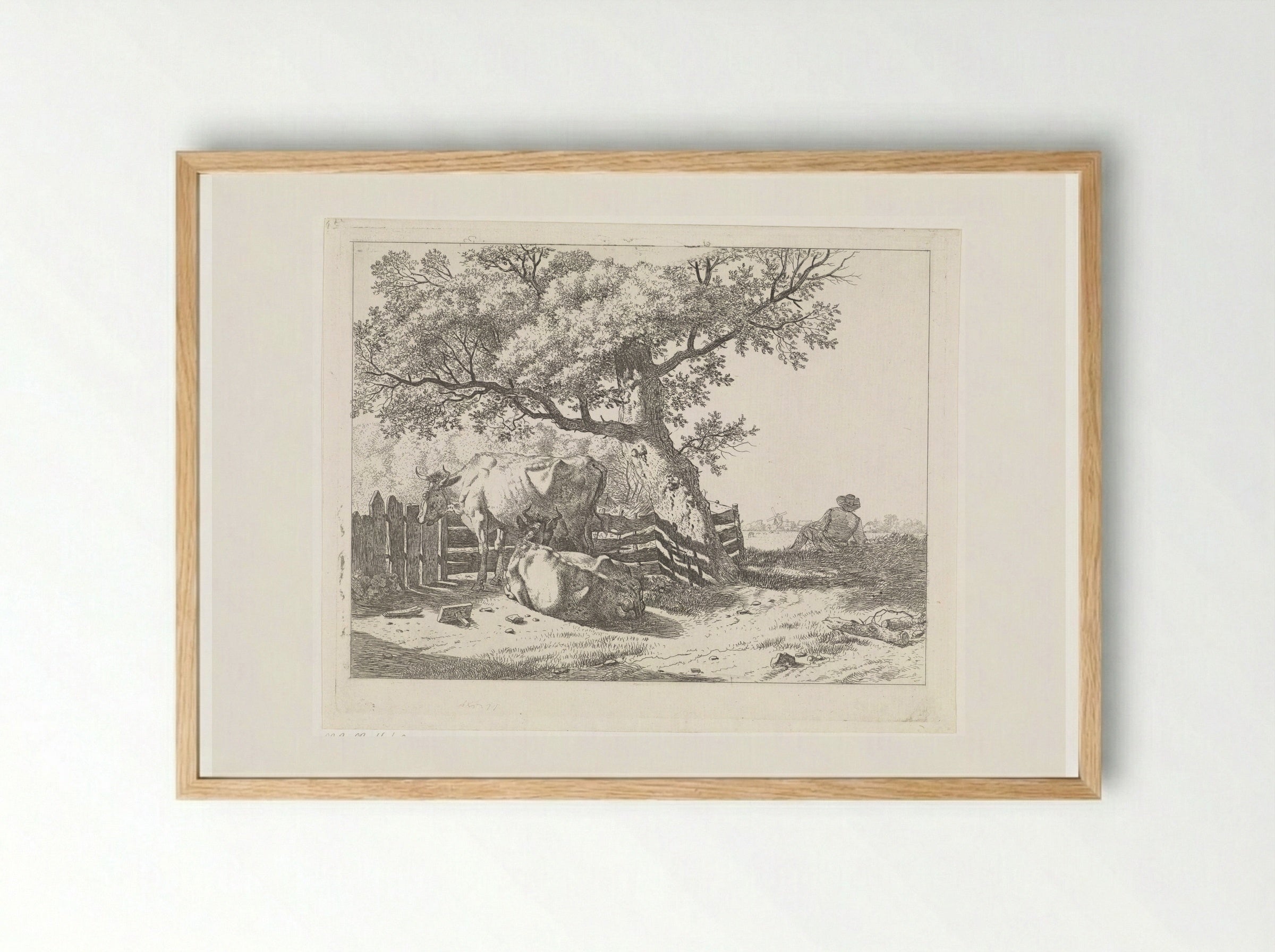 Twee koeien bij een hek - Wouter Johannes van Troostwijk - Framed Print Wood