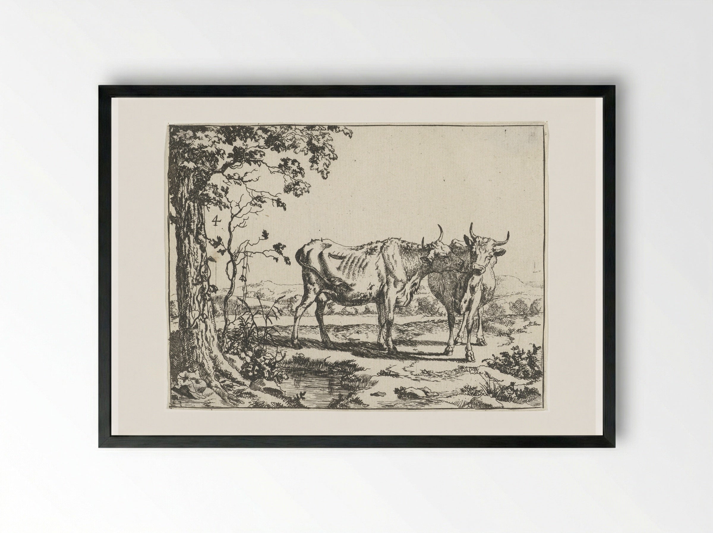 Twee koeien elkaar likkend - Marcus de Bye - Framed Print Black