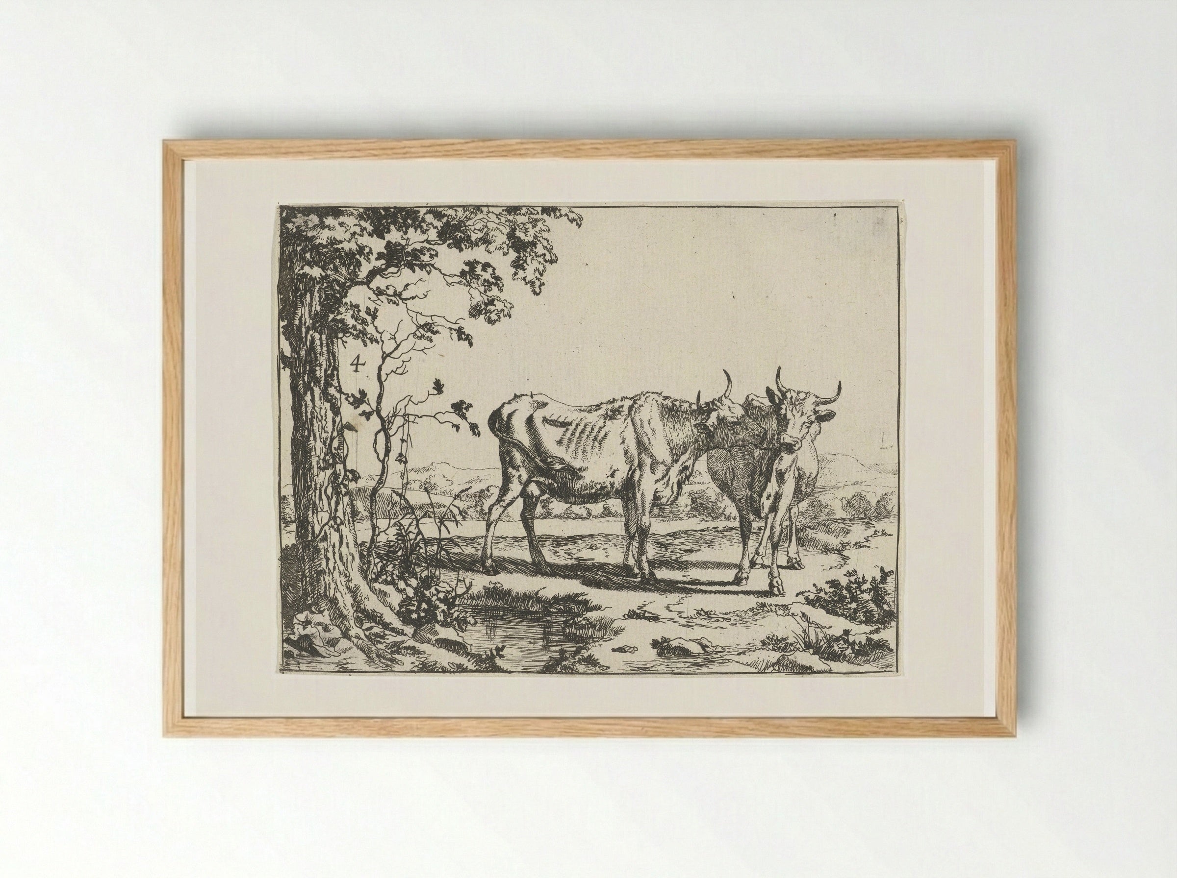 Twee koeien elkaar likkend - Marcus de Bye - Framed Print Wood