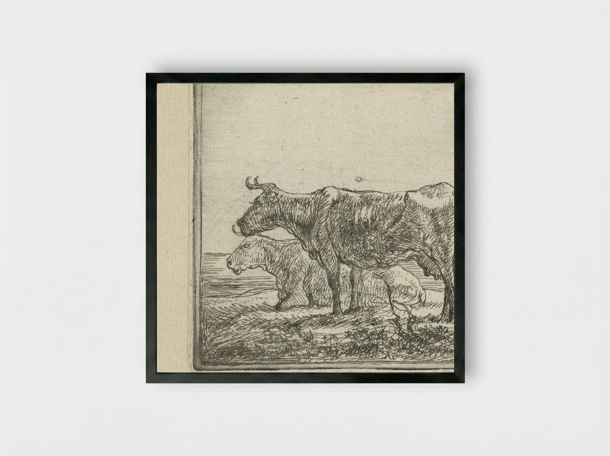 Twee koeien op rivieroever - Aelbert Cuyp - Framed Print Black