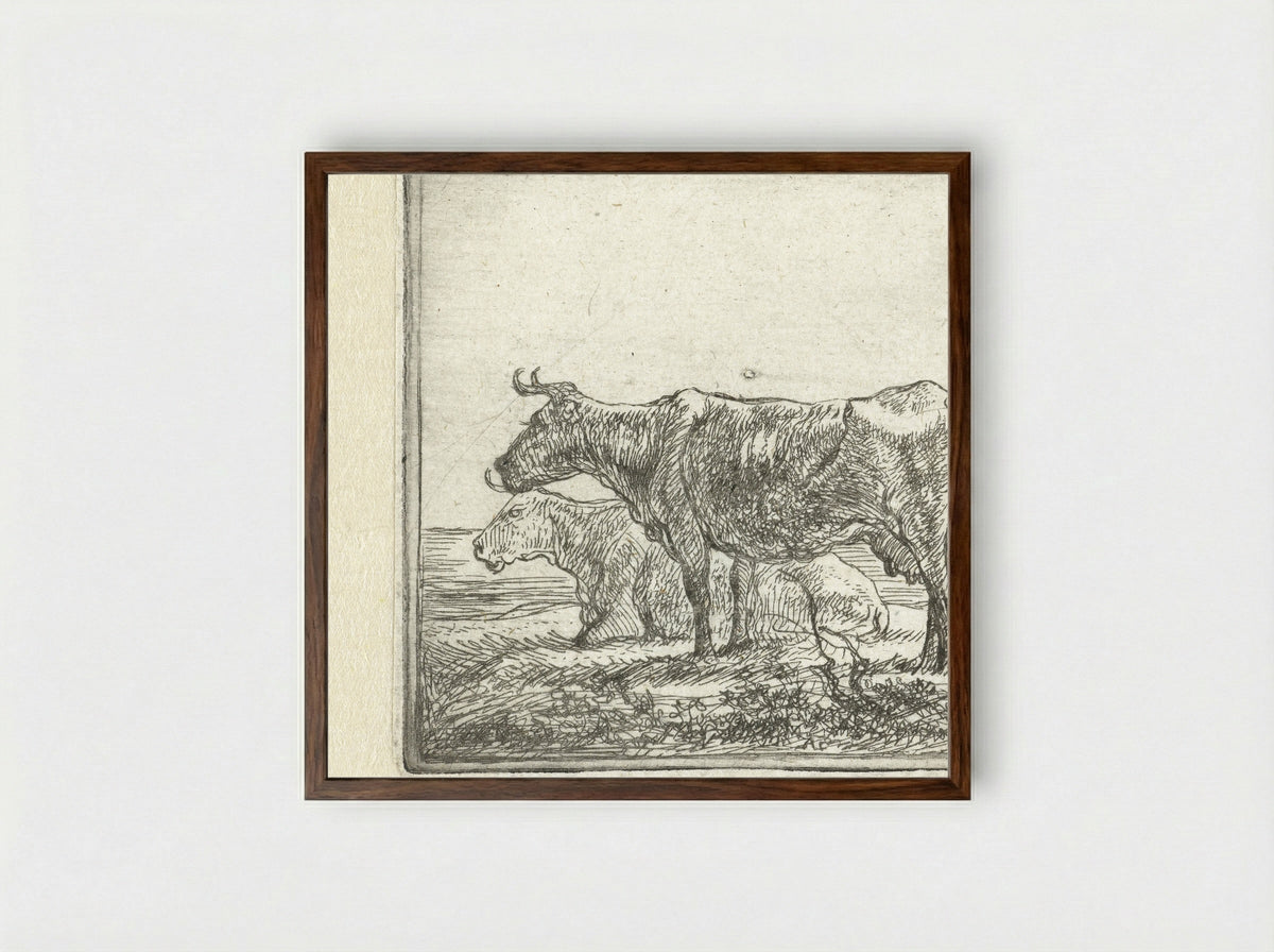 Twee koeien op rivieroever - Aelbert Cuyp - Framed Print Dark Wood