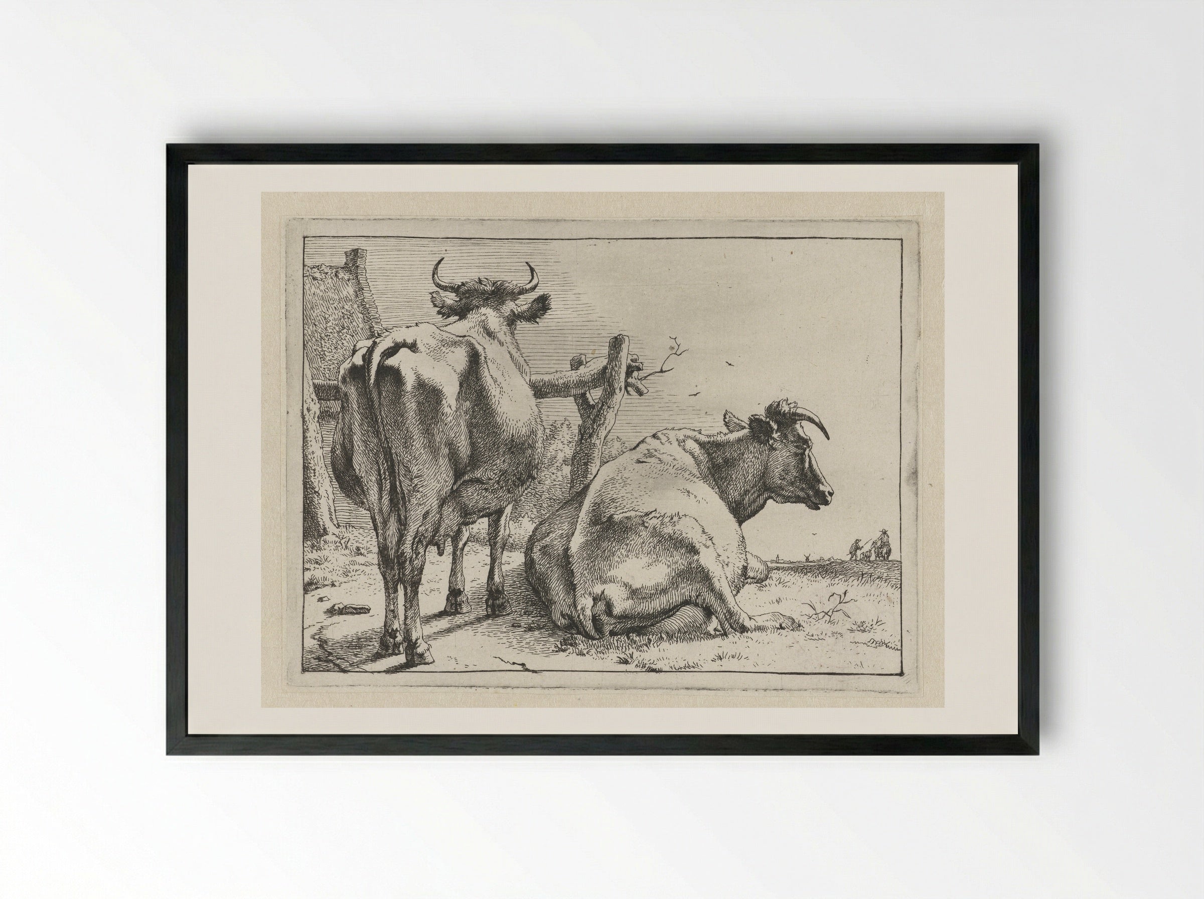 Twee koeien van achteren gezien - Paulus Potter - Framed Print Black