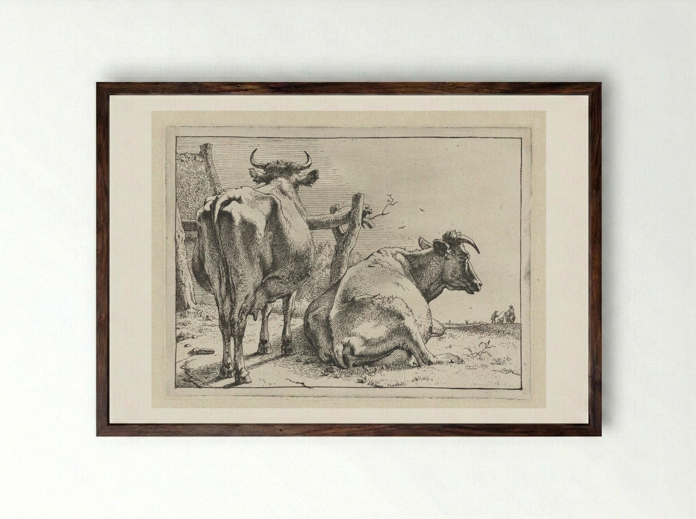 Twee koeien van achteren gezien - Paulus Potter - Framed Print Dark Wood