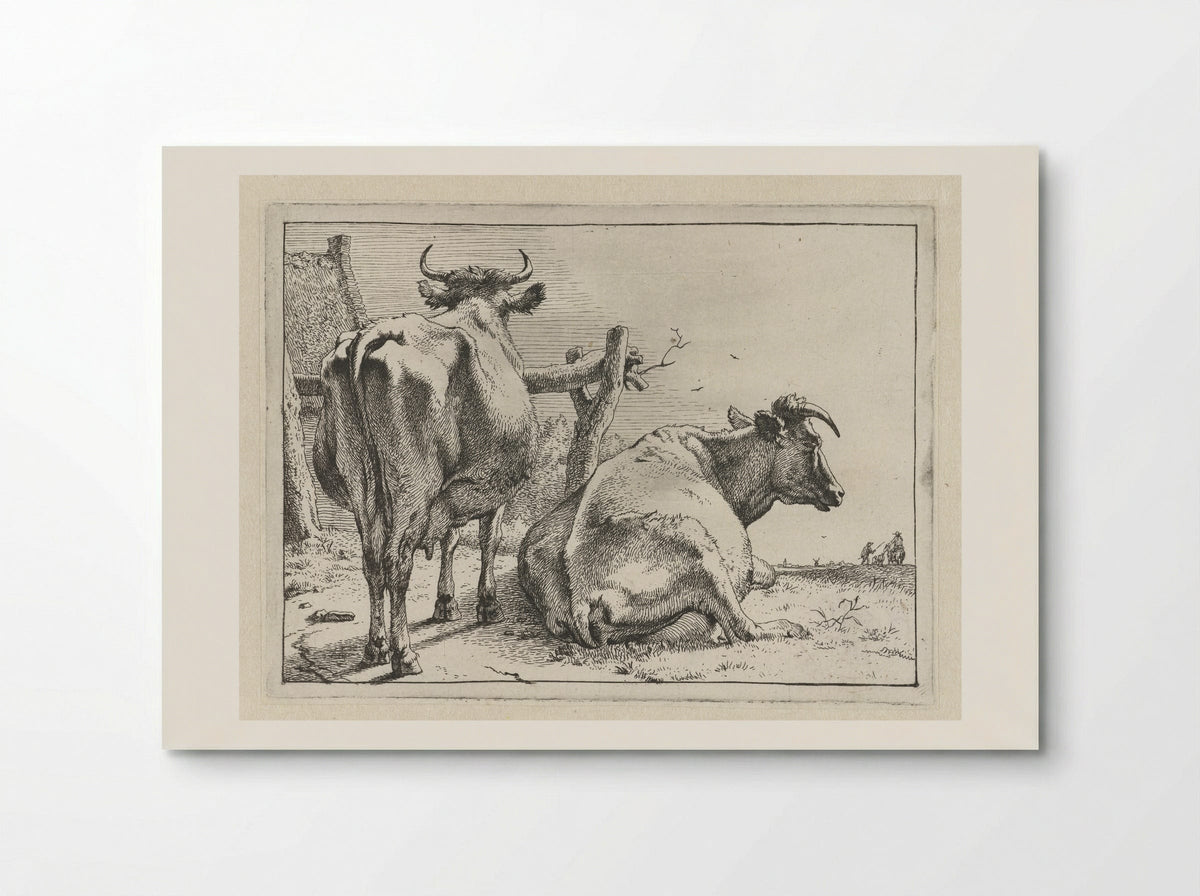 Twee koeien van achteren gezien - Paulus Potter - Poster