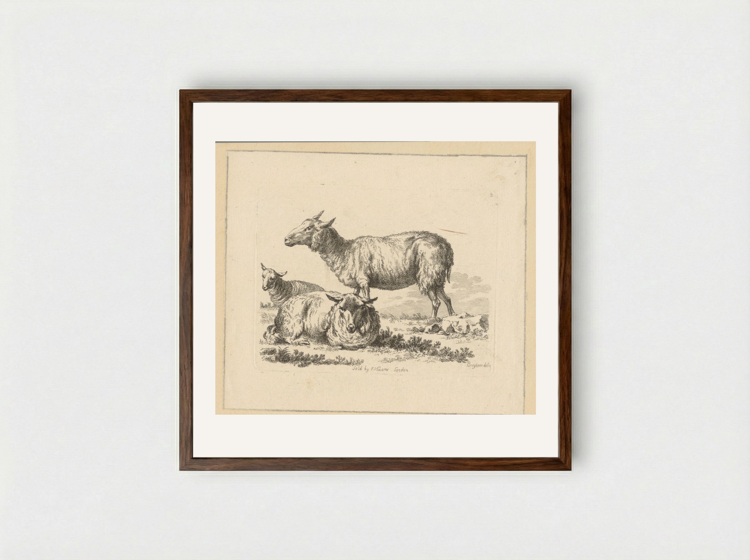Twee liggende schapen en een stand schaap - François Vivares - Framed Print Dark Wood