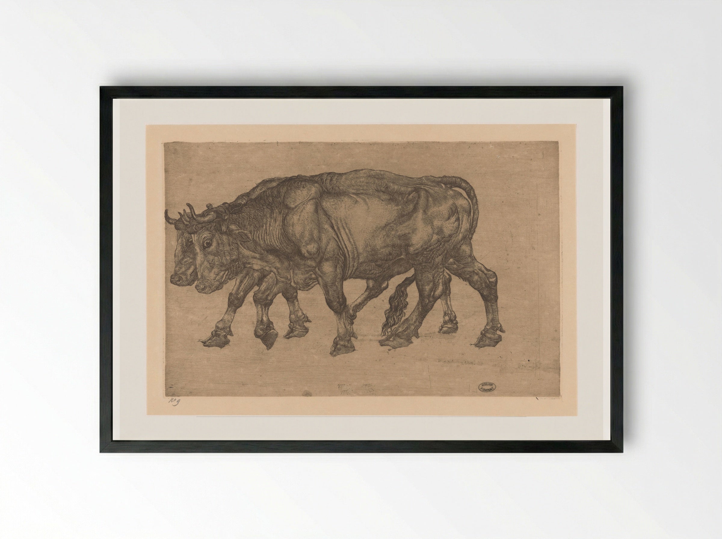 Twee ossen (Two Oxen) - Pieter Dupont - Framed Print Black