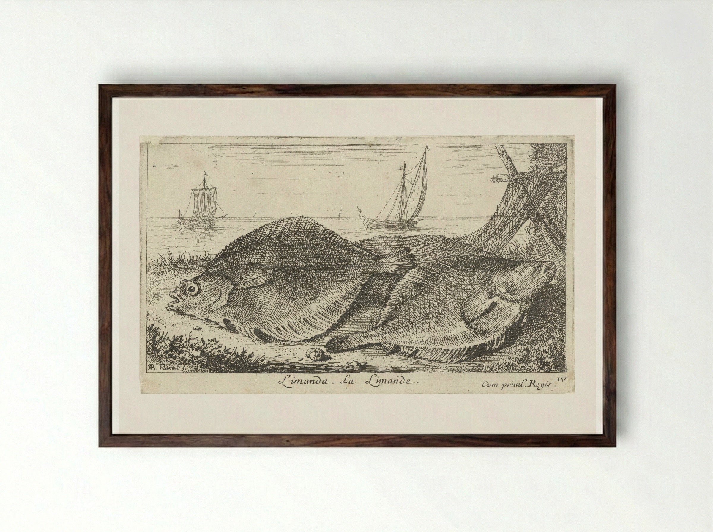 Twee scharren op het strand - Albert Flamen - Framed Print Dark Wood