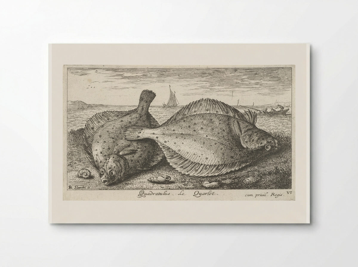 Twee schollen op het strand - Albert Flamen - Poster
