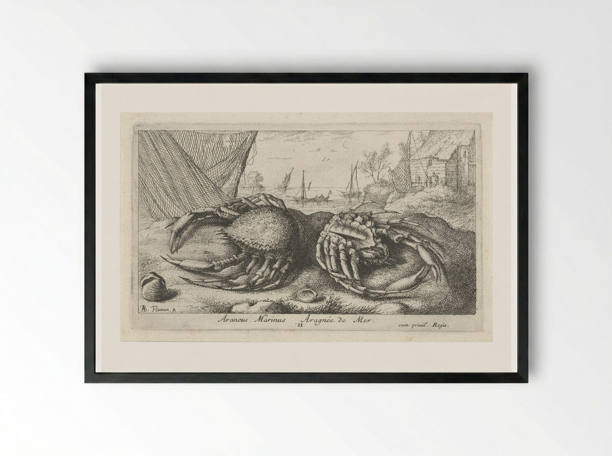 Twee spinkrabben bij een visnet - Albert Flamen - Framed Print Black